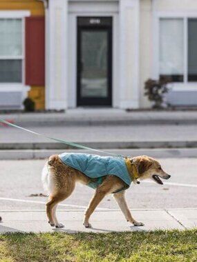 RuffWear Stumptown Insulated Vest, L